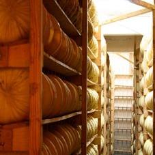 cheese-wheel