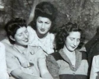 A History of the Perl Family