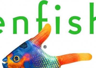Enfish Tracker PC Software | Packaging Copy