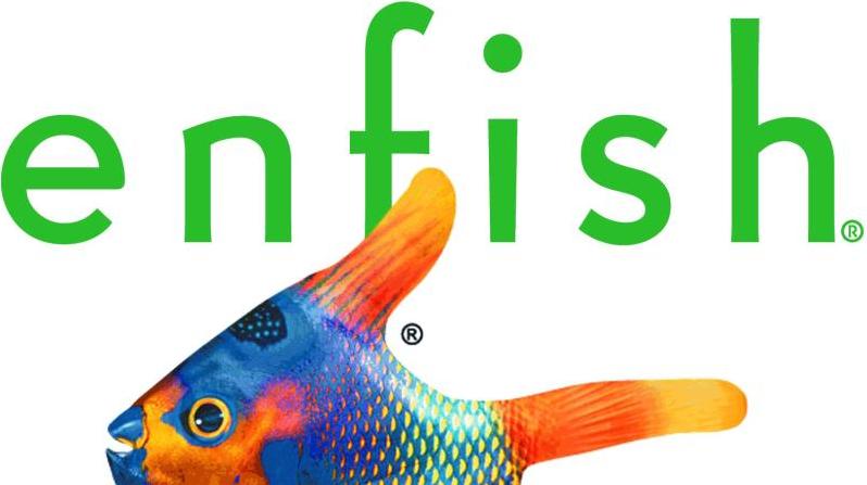 Enfish Tracker PC Software | Packaging Copy